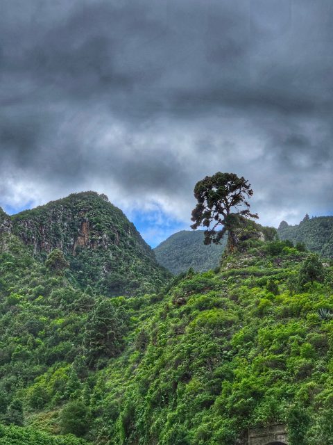 La Palma green mountains