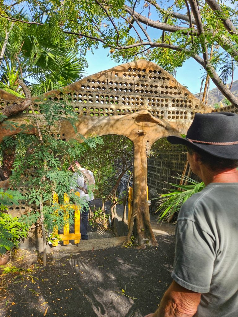 Banana plantation tour