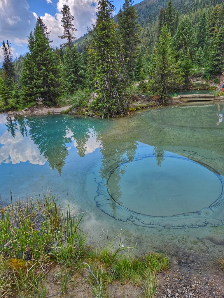 Ink Pots circles