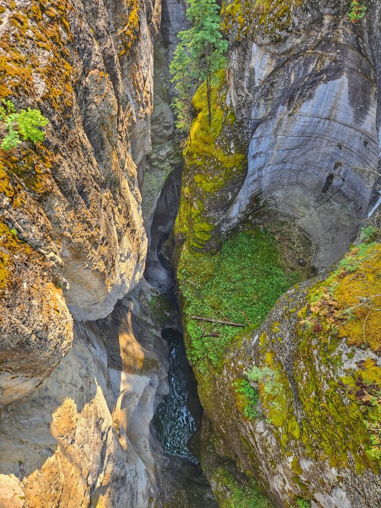 Maligne canyon second bridge