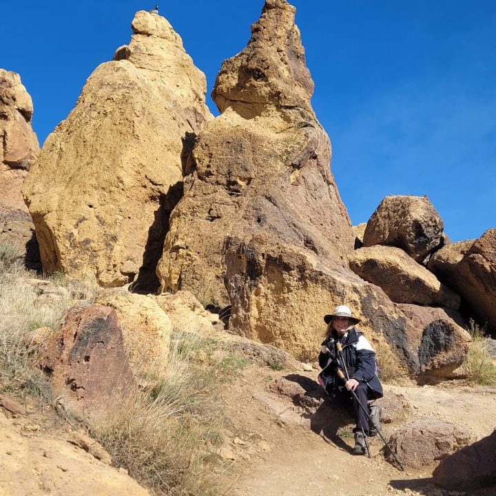 Sentry Goose Smith Rock