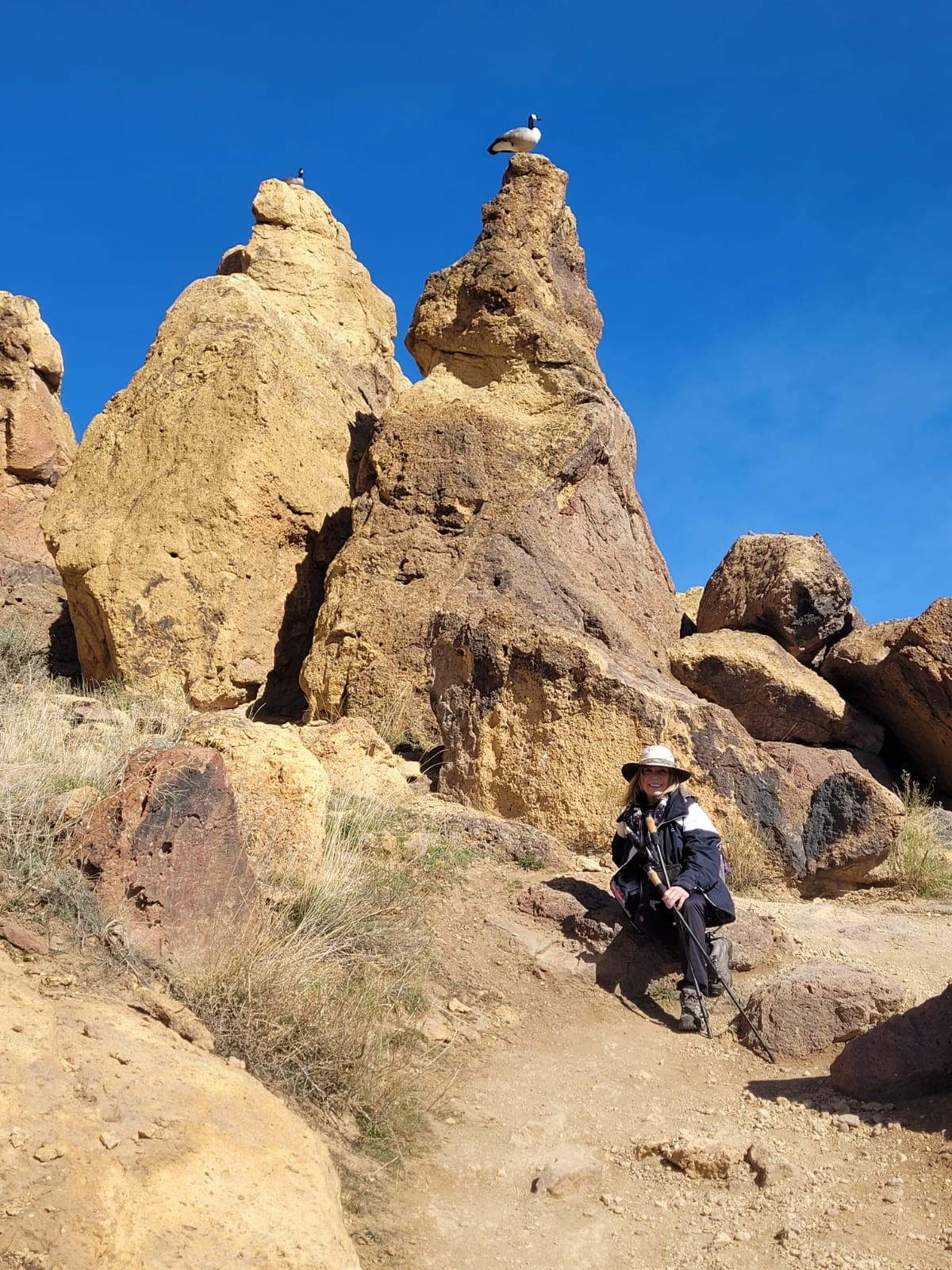 Sentry Goose Smith Rock