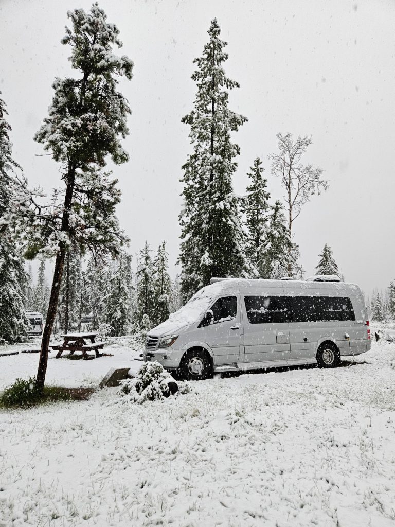 wabasso campground site D53