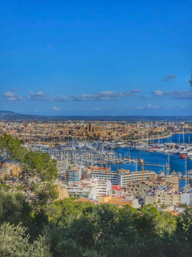 Palma from Castell Bellver