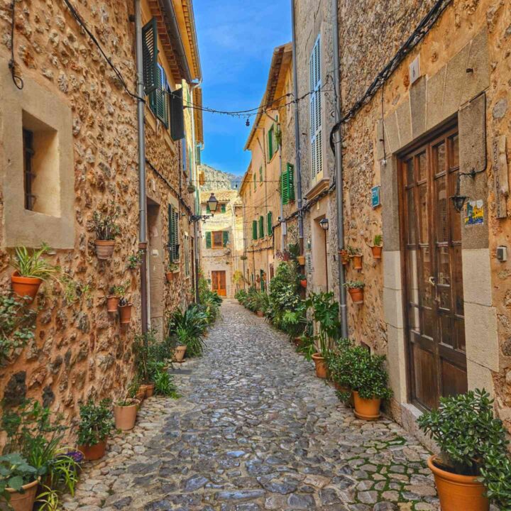 Valldemossa street