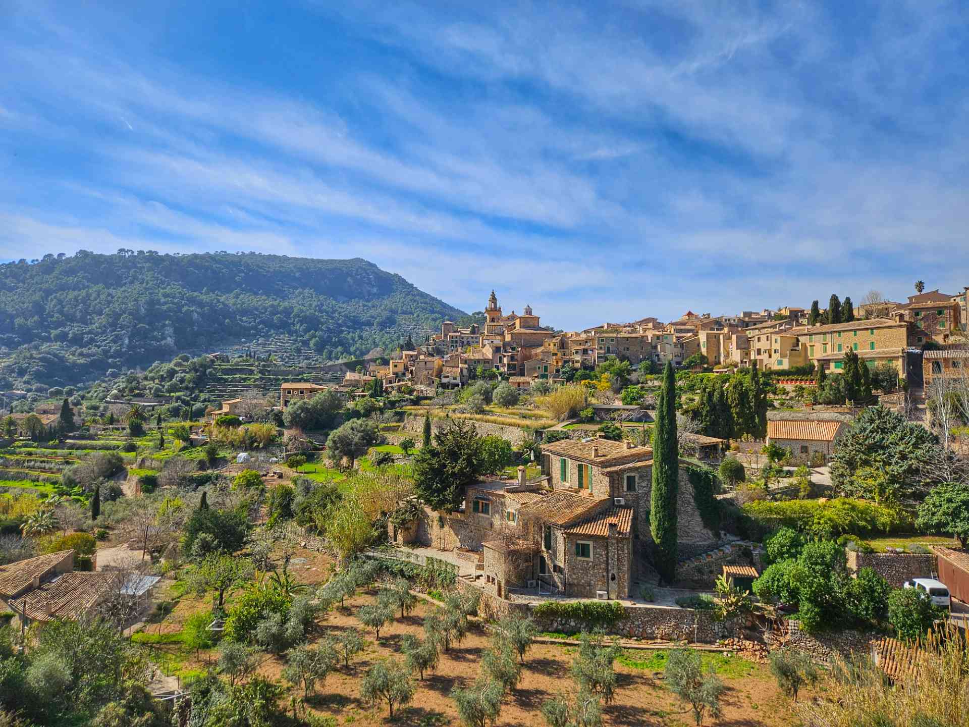 Valldemossa