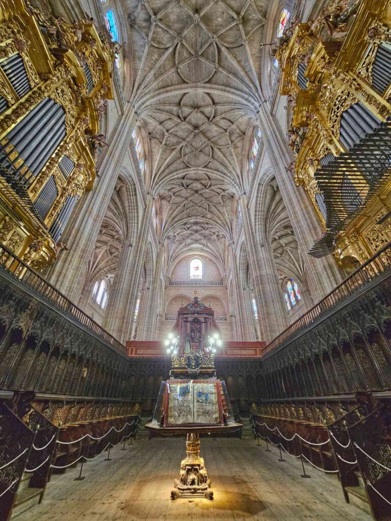 Segovia cathedral choir