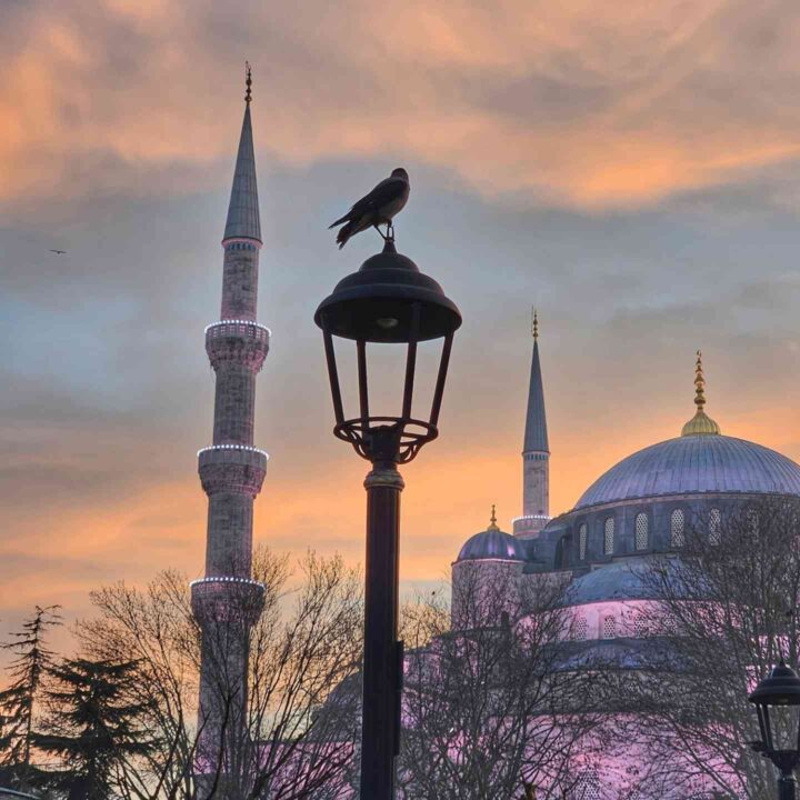 Blue Mosque sunset